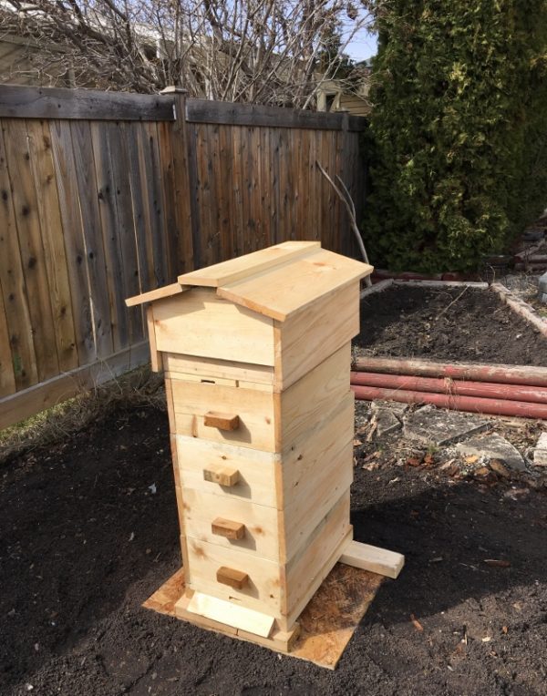 Beekeeping supplies edmonton 